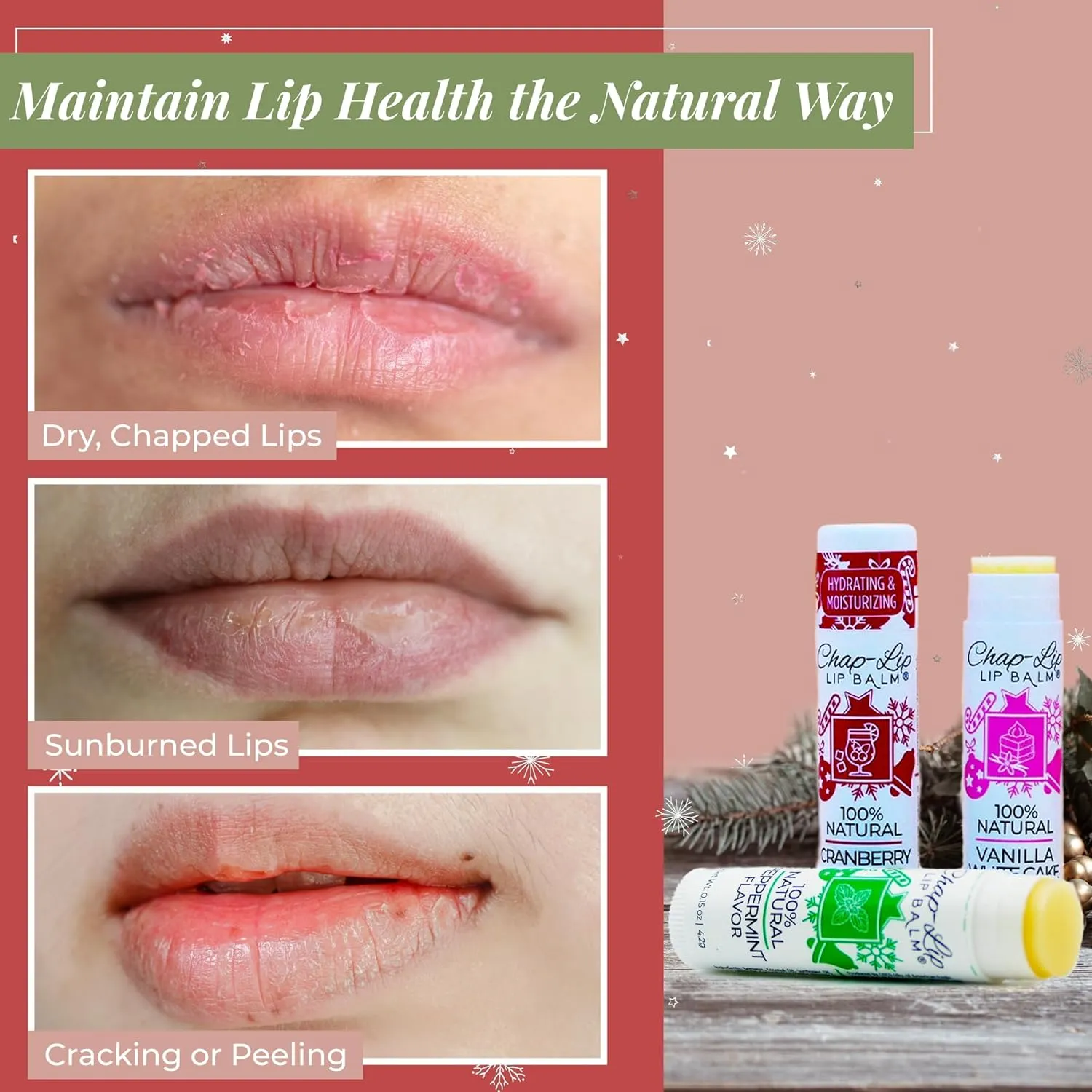 100% Natural Lip Balm Set - Beeswax Natural Christmas Gifts for Her - Ideal Gift for Women - Lip Moisturizer for Dry Lips, Cocoa Butter - Petroleum Free Pack of 24