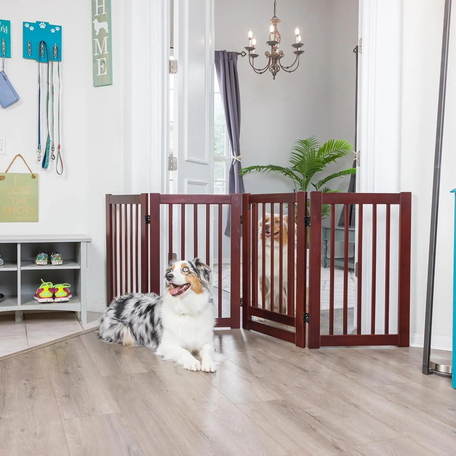 360 Configurable Dog Gate with Door – Indoor Freestanding Walk Through Wood Pet Gate,Walnut