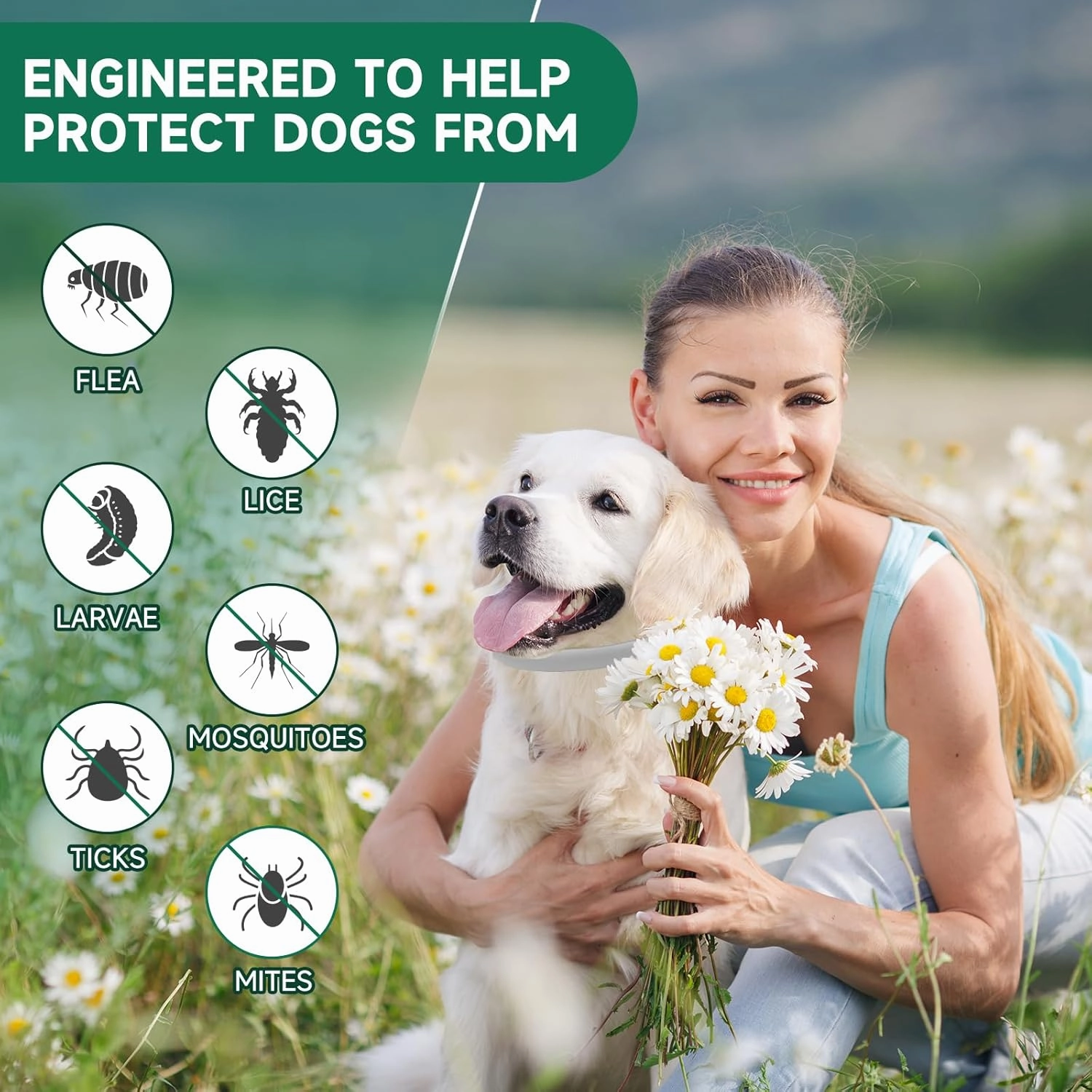 4 Pack Flea Collar for Dogs, 32-Month Dog Flea and Tick Treatment, Flea and Tick Prevention for Dogs, Adjustable Dog Flea and Tick Collar for All Breeds and Size