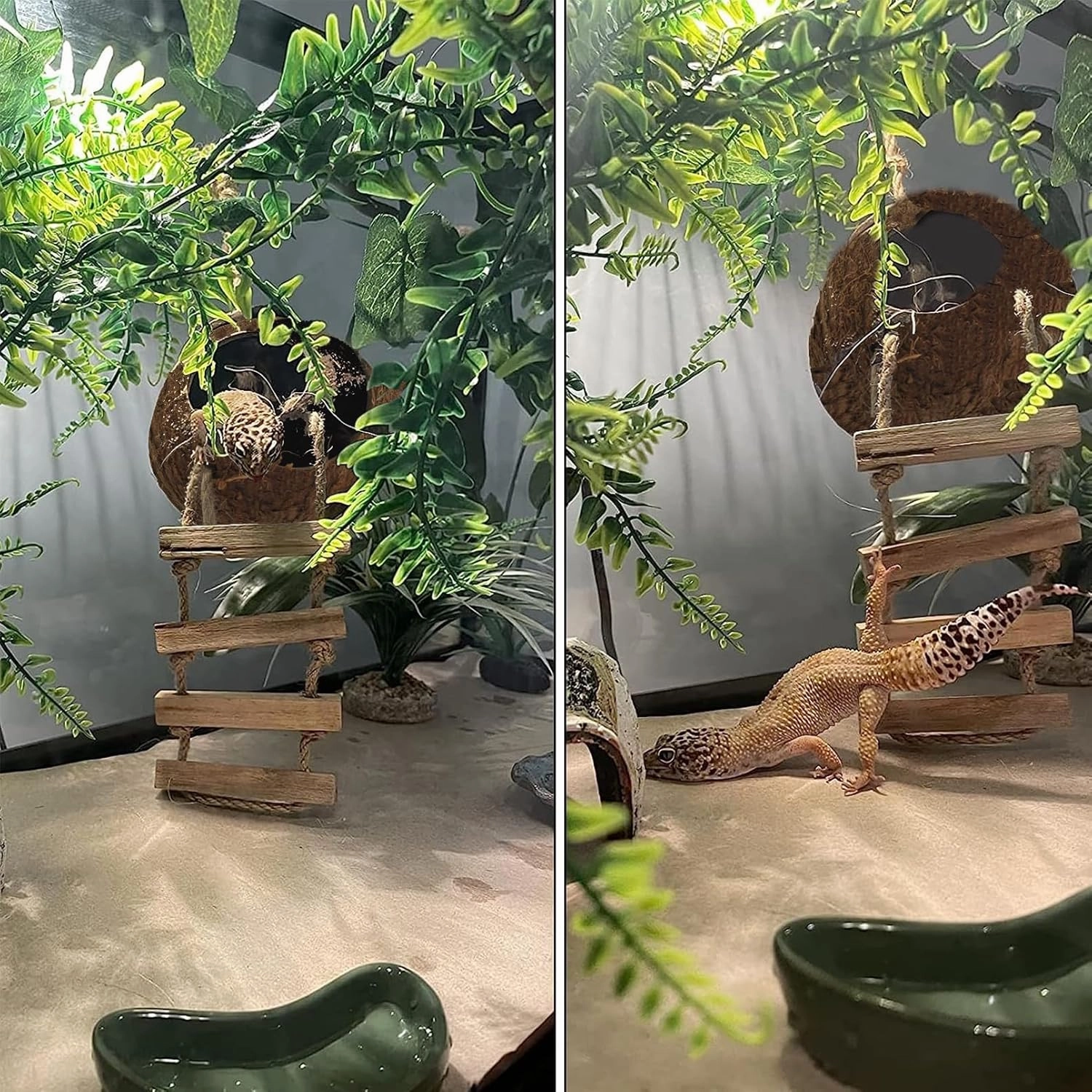 6PCS Crested Gecko Coconut Hut, Lizard Coco Den with Ladder and Reptile Hammock Bearded Dragon Tank Accessories Climbing Hanging Plants Jungle Vine Flexible Reptile Leaves Decor
