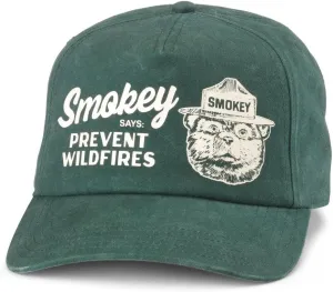 AMERICAN NEEDLE Smokey The Bear Unisex Adjustable Snapback Baseball Hat