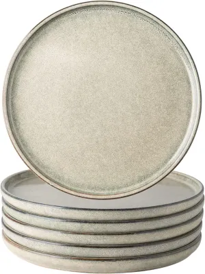 AmorArc Dinner Plates Set of 6, 10.5 Inch Reactive Glaze Ceramic Plates Set, Microwave, Dishwasher Safe, Scratch Resistant, Modern Large Dinnerware Dishes Set Kitchen Stoneware Plates