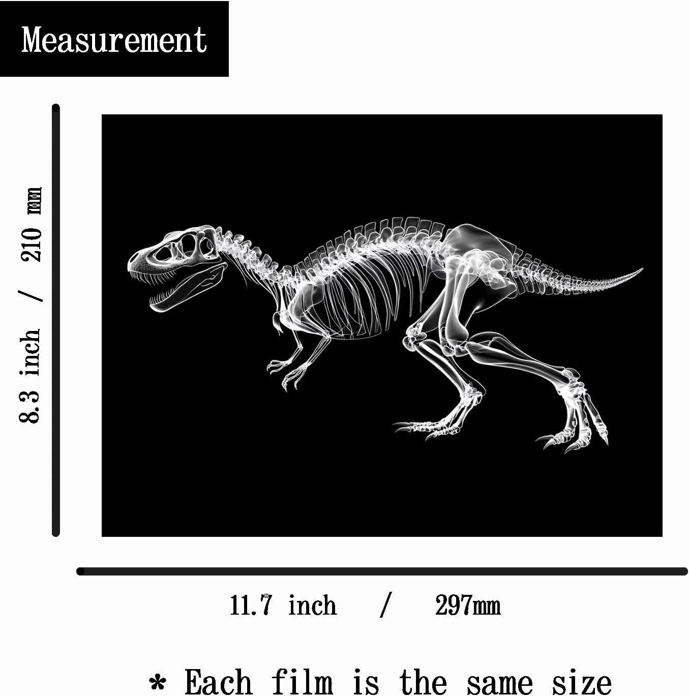Animal X-Ray Set, Educational Science Kit, Light Table Accessory for Children (Dinosaurs)