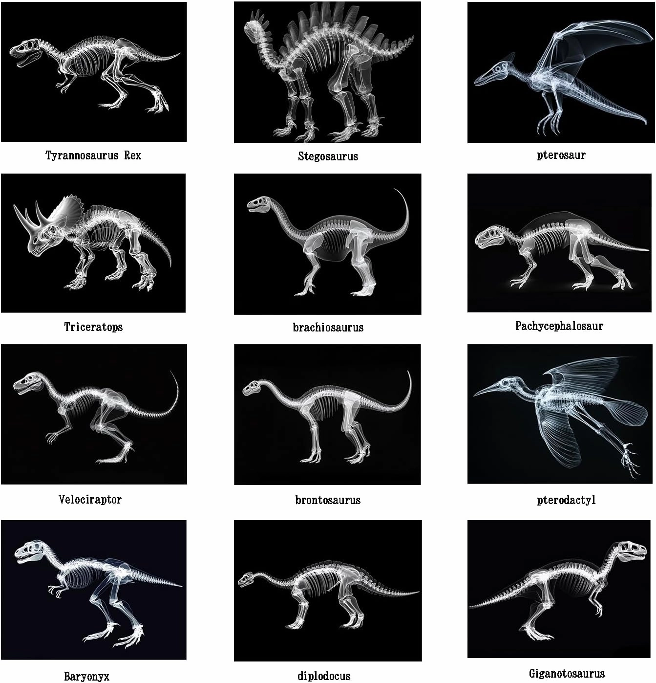 Animal X-Ray Set, Educational Science Kit, Light Table Accessory for Children (Dinosaurs)