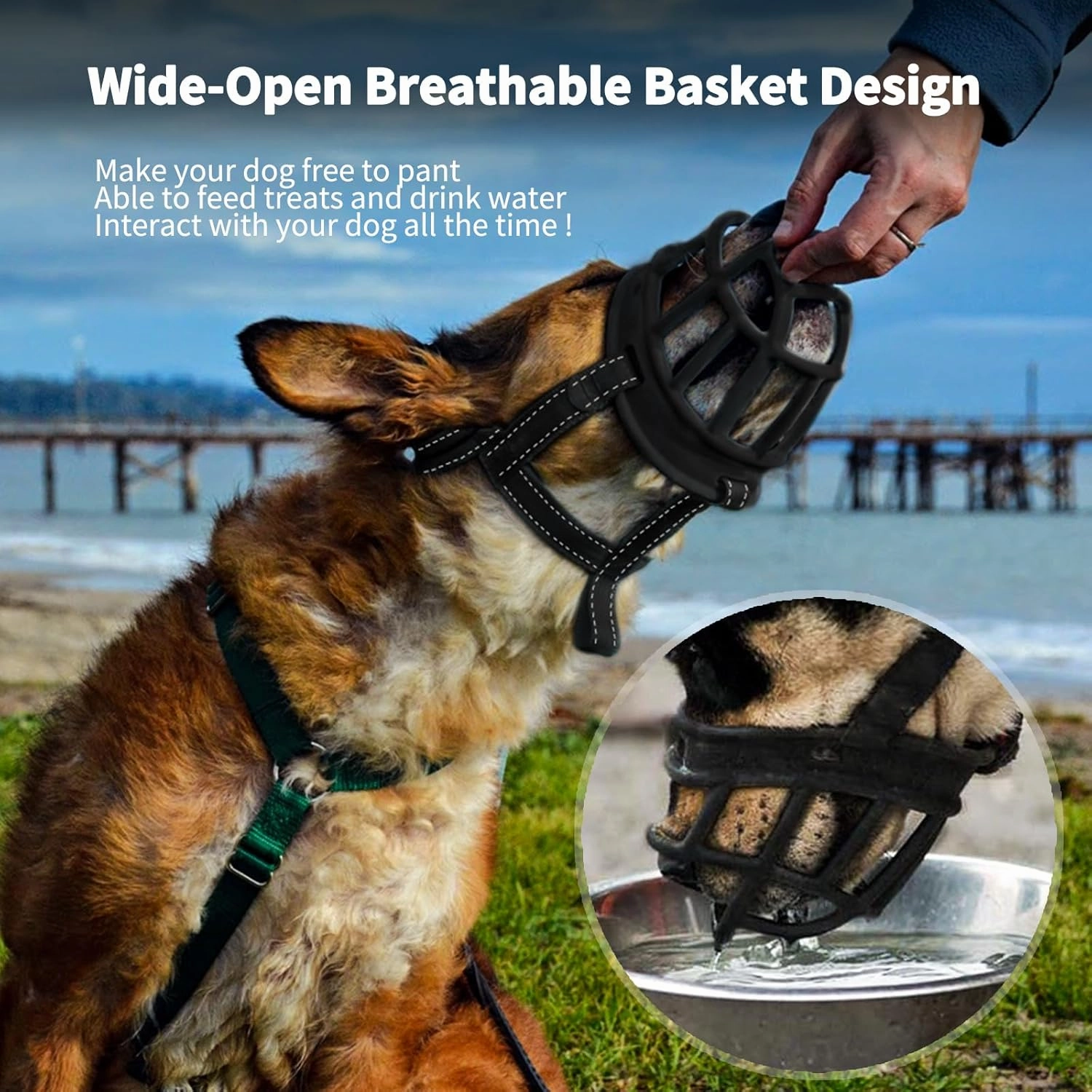 BARKLESS Dog Muzzle, Soft Basket Silicone Muzzle for Dogs, Best to Prevent Biting and Chewing, Breathable Cage Mouth Cover for Training, Allows Drinking and Panting, Used with Collar