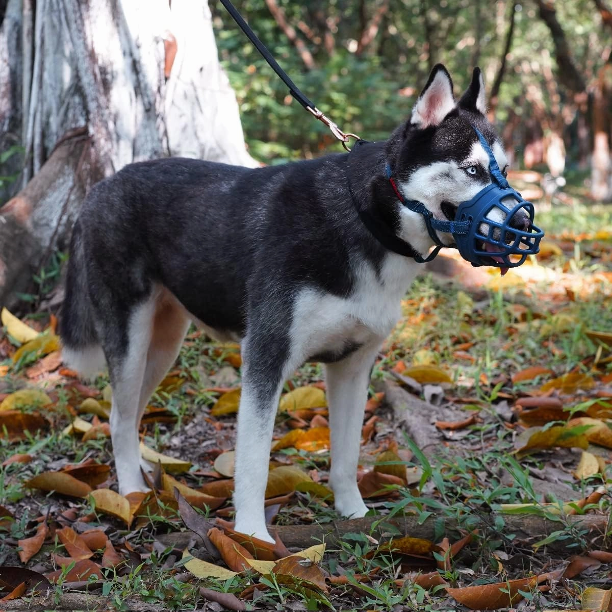 BARKLESS Dog Muzzle, Soft Basket Silicone Muzzle for Dogs, Best to Prevent Biting and Chewing, Breathable Cage Mouth Cover for Training, Allows Drinking and Panting, Used with Collar