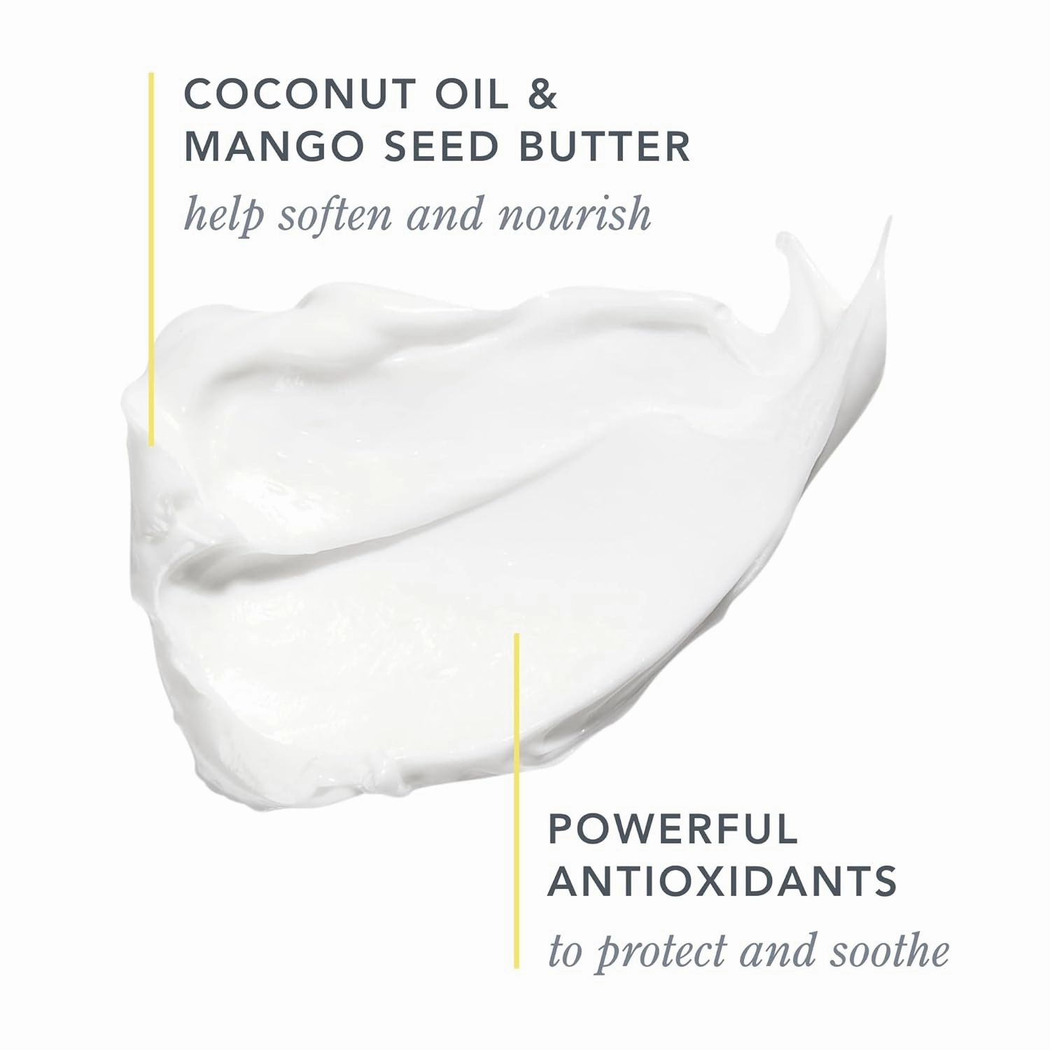 Beekman 1802 Coconut Cream Goat Milk Bodycare Discovery Kit - 3 Pieces - Scented - Cleanses, Nourishes & Hydrates - With Lactic Acid & Shea Butter - Microbiome Friendly - Good for Sensitive Skin