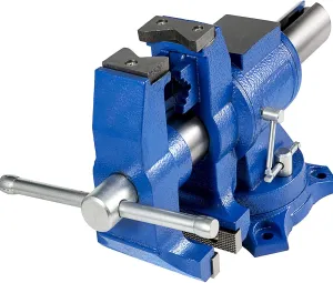 BestEquip 6" Heavy Duty Bench Vise, Double Swivel Rotating Vise Head/Body Rotates 360°,Pipe Vise Bench Vices 30Kn Clamping Force,for Clamping Fixing Equipment Home or Industrial Use
