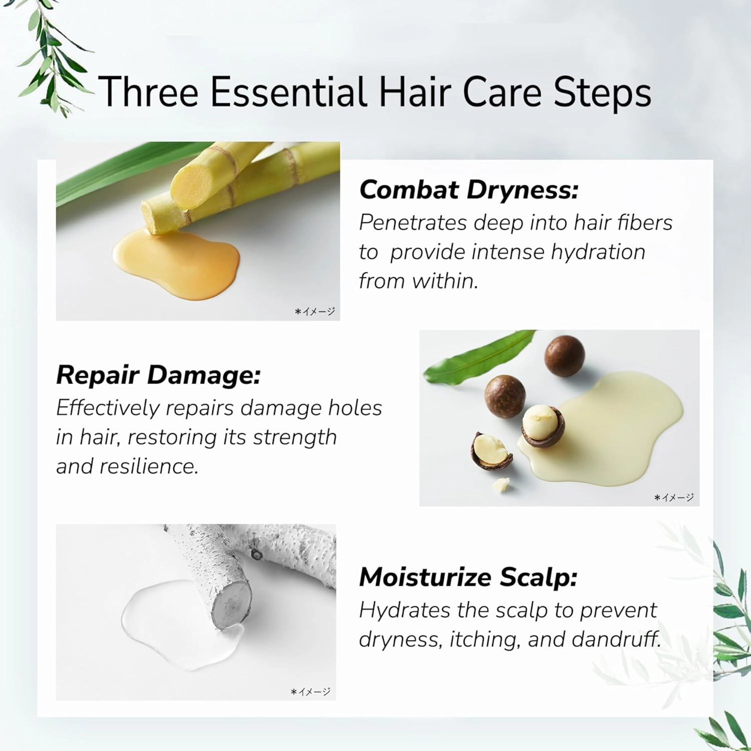Body Wash & Shampoo Set, Cleansing Gel For Dry Skin, Scalp Clarifying Shampoo for Women All Hair Types, Macadamia Nut Oil & Rosemary Leaf Extract, Sulfate & Paraben Free,16.5 Fl Oz, 2EA