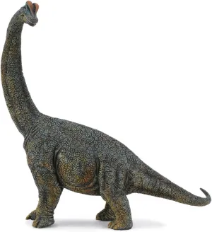 CollectA Prehistoric Life Brachiosaurus Deluxe 1:40 Scale Dinosaur Figure - Authentic Hand Painted Model