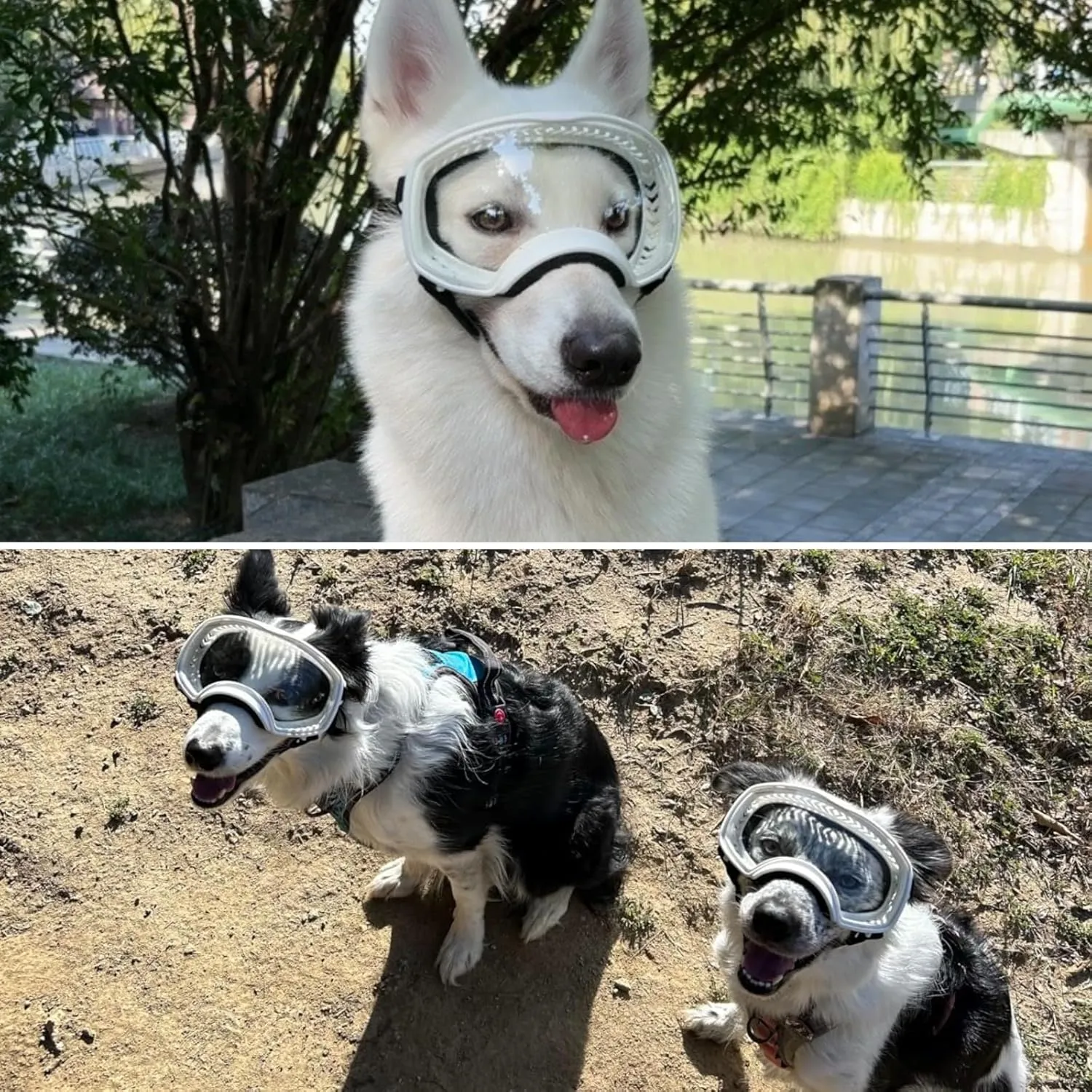 Dog Sunglasses UV Protection Clear Dog Goggles Windproof Glasses with Elastic Straps for Medium-Large Breed, White Frame   Clear Lens