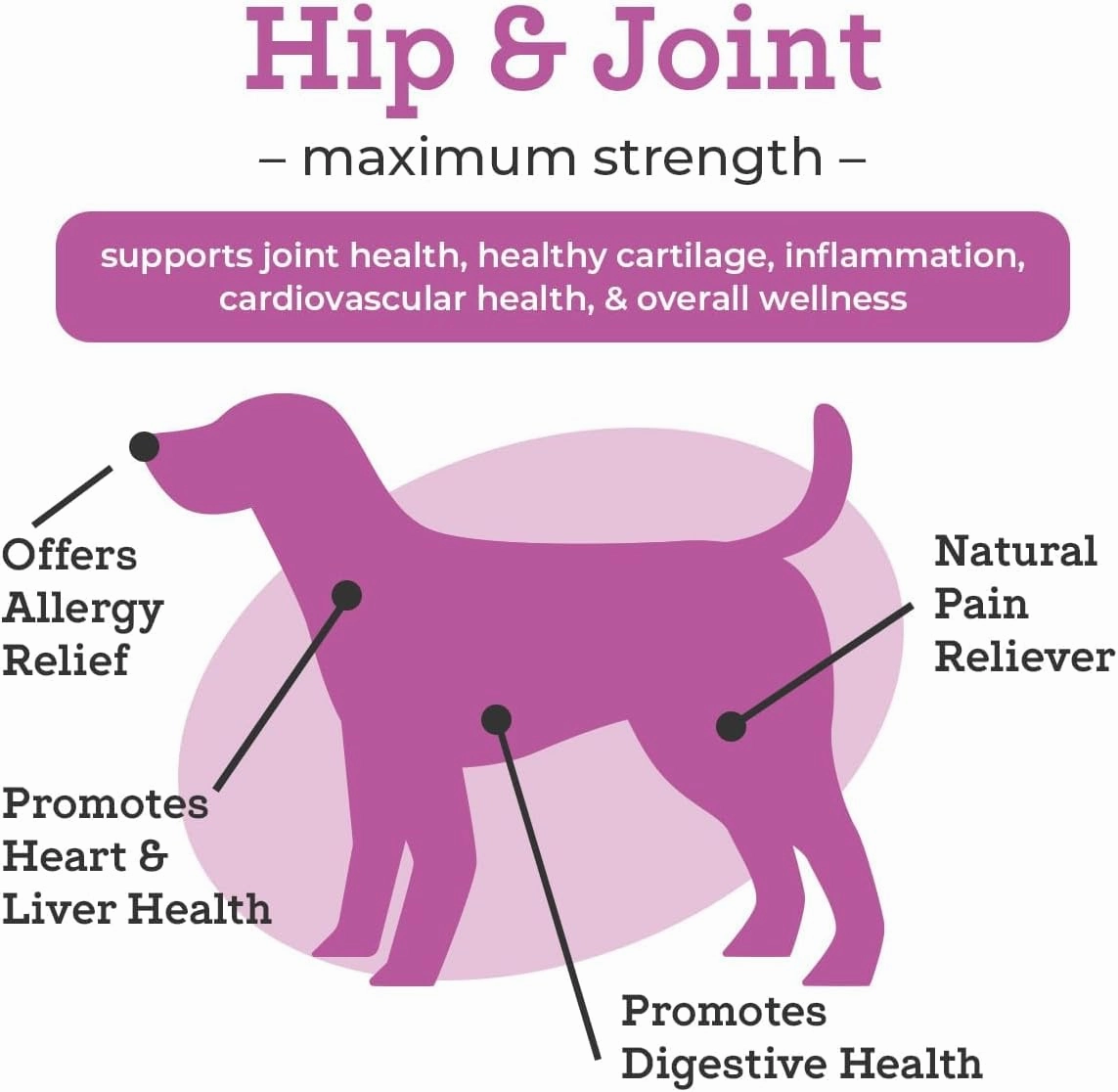 Dr. Joseph's VetPro Complete Dog Hip and Joint Supplement, 120 Count, Chicken Flavored Pain and Inflammation Relief Chews with Glucosamine, Chondroitin, MSM, Turmeric, Vitamin C, Omega 3