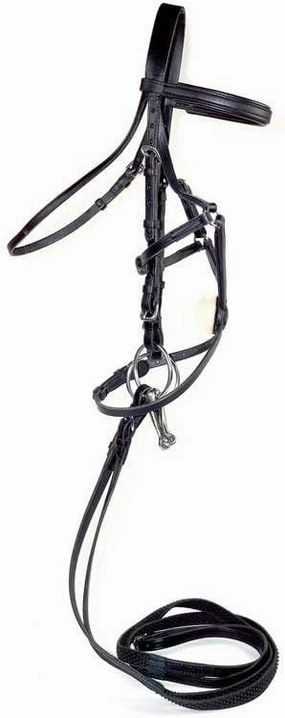 Fair Hill Figure 8 Bridle