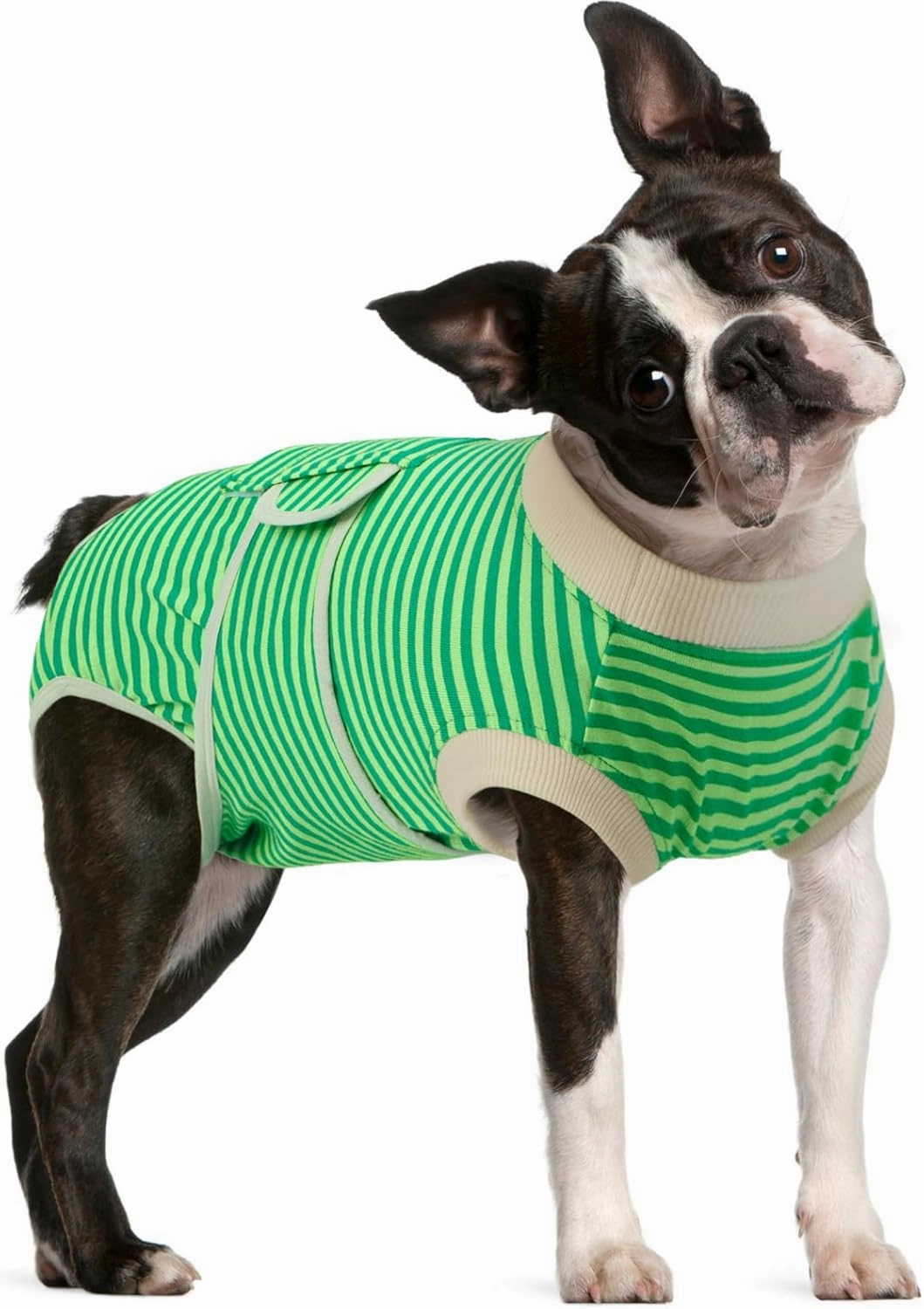 FUAMEY Dog Recovery Suit Male,Dogs Surgery Neuter Suits Puppy Spay Shirts for Female Protect Dog's Skin Anti Licking Abdominal Wounds Doggie Onesie Pet Bodysuit Alternative to Cone Green Stripes M