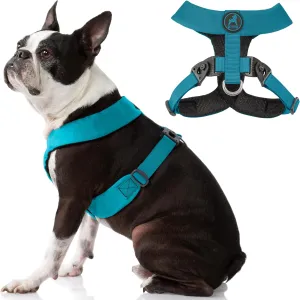Gooby Comfort X Harness Dual Snap - Turquoise, Large - No Pull Small Dog Harness with Rotational Buckles and Patented Choke-Free X Frame - Dog Harness for Medium Dogs No Pull and Small Dogs