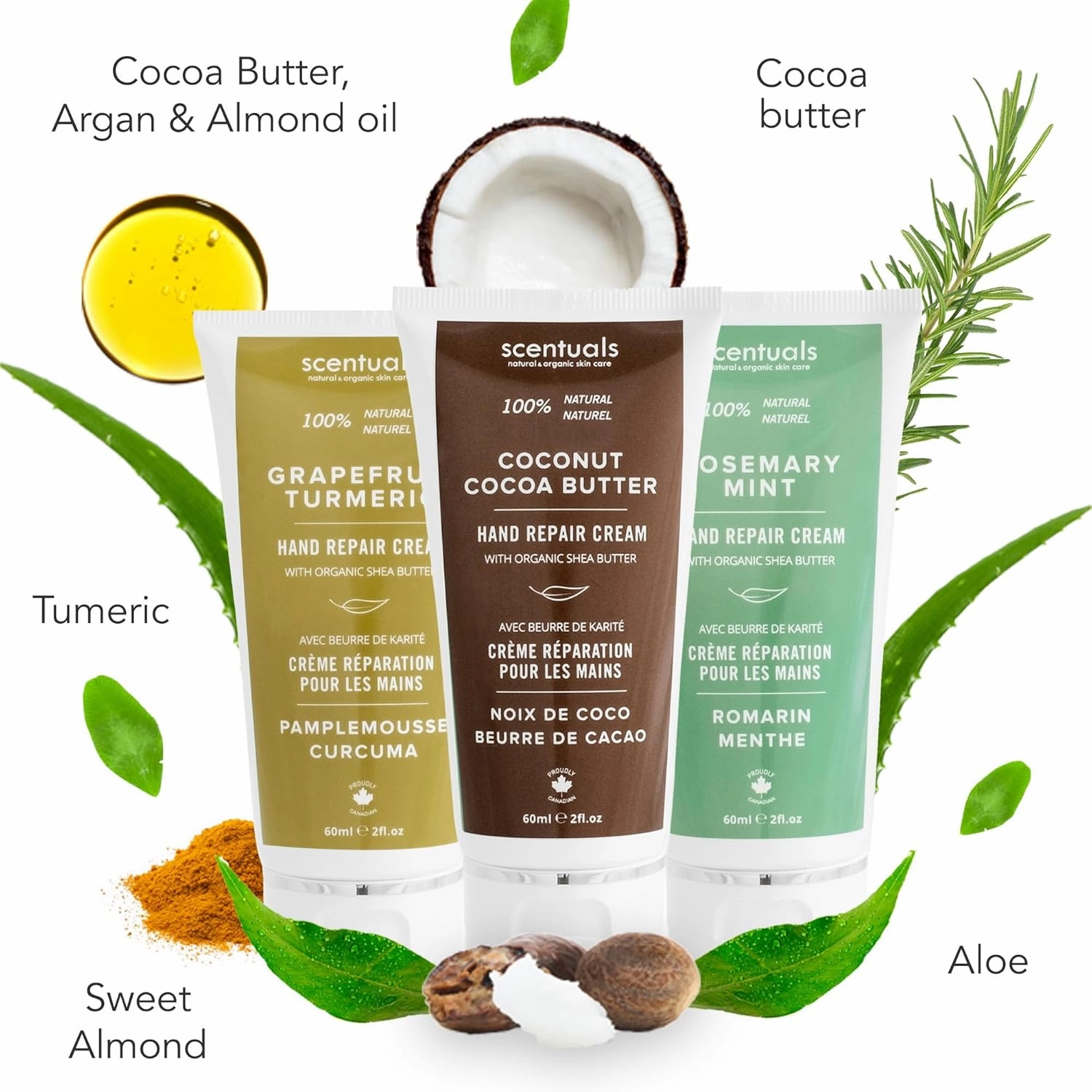 Hand Cream Set of 3, with Shea Butter, Cocoa Butter, Argan & Almond oil, Moisturizing Dry Hands, (Grapefruit Turmeric   Rosemary Mint   Coconut Cocoa Butter) 60 ml (2 fl.oz.) x 3