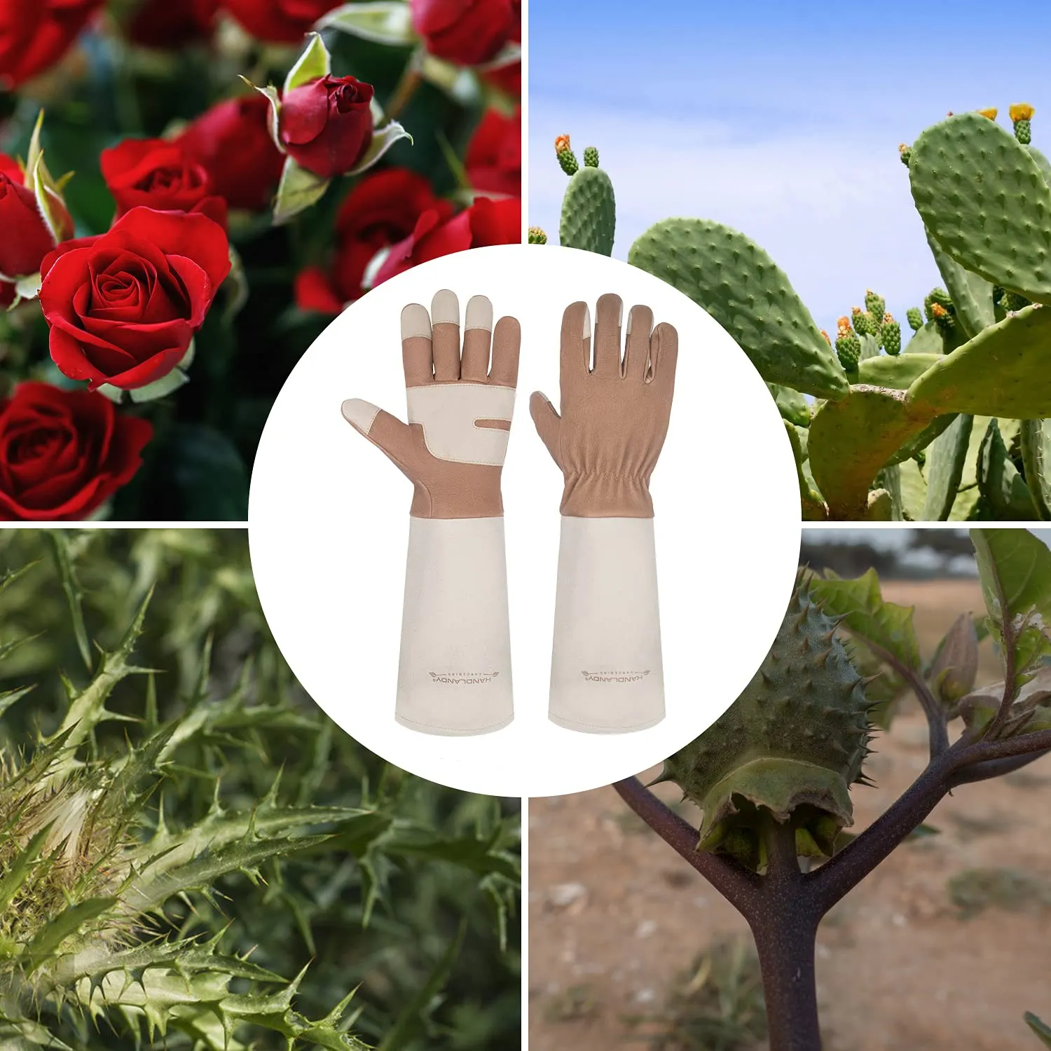 HLDD HANDLANDY Gardening Gloves for Women & Men, Leather Long Sleeve Rose Pruning Gloves, Thorn Proof Garden Work Gauntlet Animal Handling Gloves (Small, Light Brown)