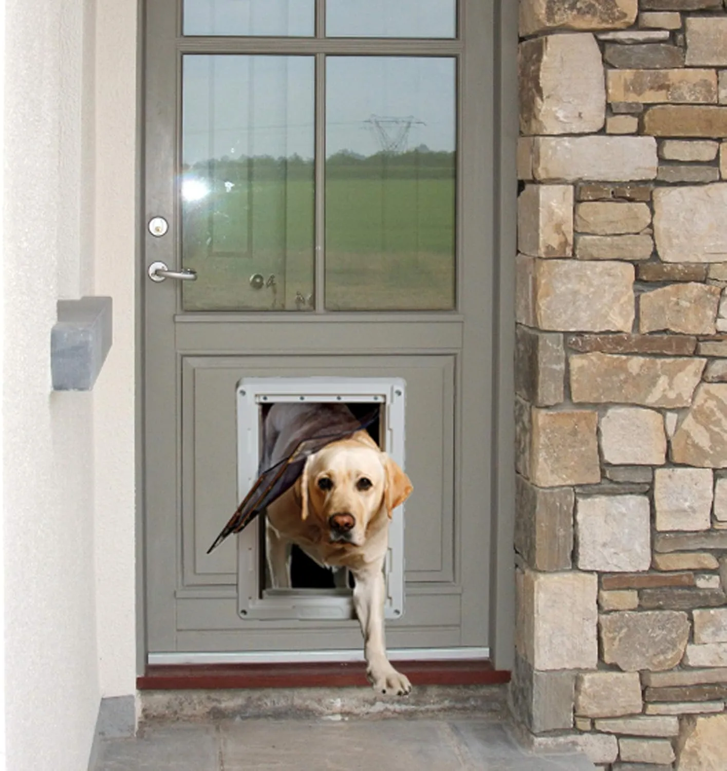 Ideal Pet Products Designer Series Ruff-Weather Pet Door with Telescoping Frame, Extra Large, 9.75" x 17" Flap Size