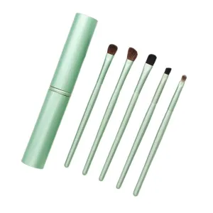 Mini portable eye 5pcs makeup brushes beginner's full set of eye shadow makeup tools(D)