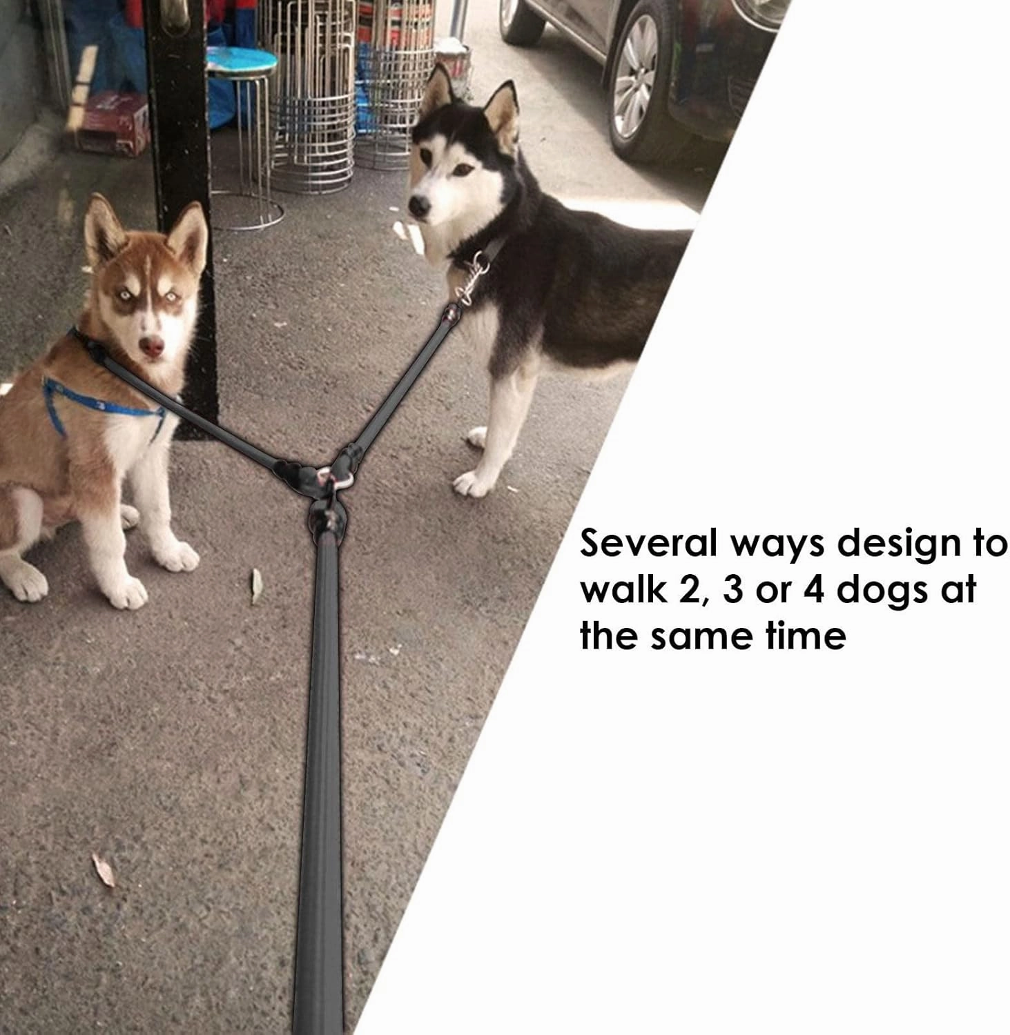 Petyoung 2/3/4 Way Pet Walking Couplers Lead Nylon Braided Rope No Tangle Dog Walking Tracks for 2/3/4 Dogs