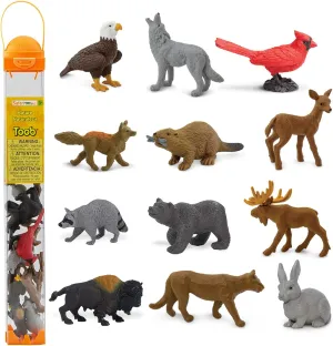 Safari Ltd. Nature TOOB - 12 Mini Figurines with Rabbit, Beaver, Doe, Gray Wolf, Fox, Black Bear, Moose, Mountain Lion, Bald Eagle, and More - Educational Toy for Boys, Girls & Kids Ages 3 