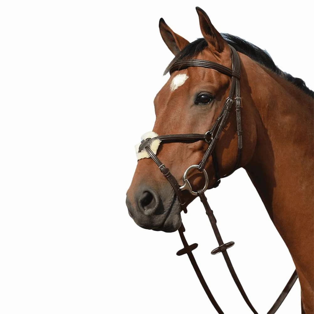 Syntovia  Padded Raised Figure 8 Bridle, Brown, Full