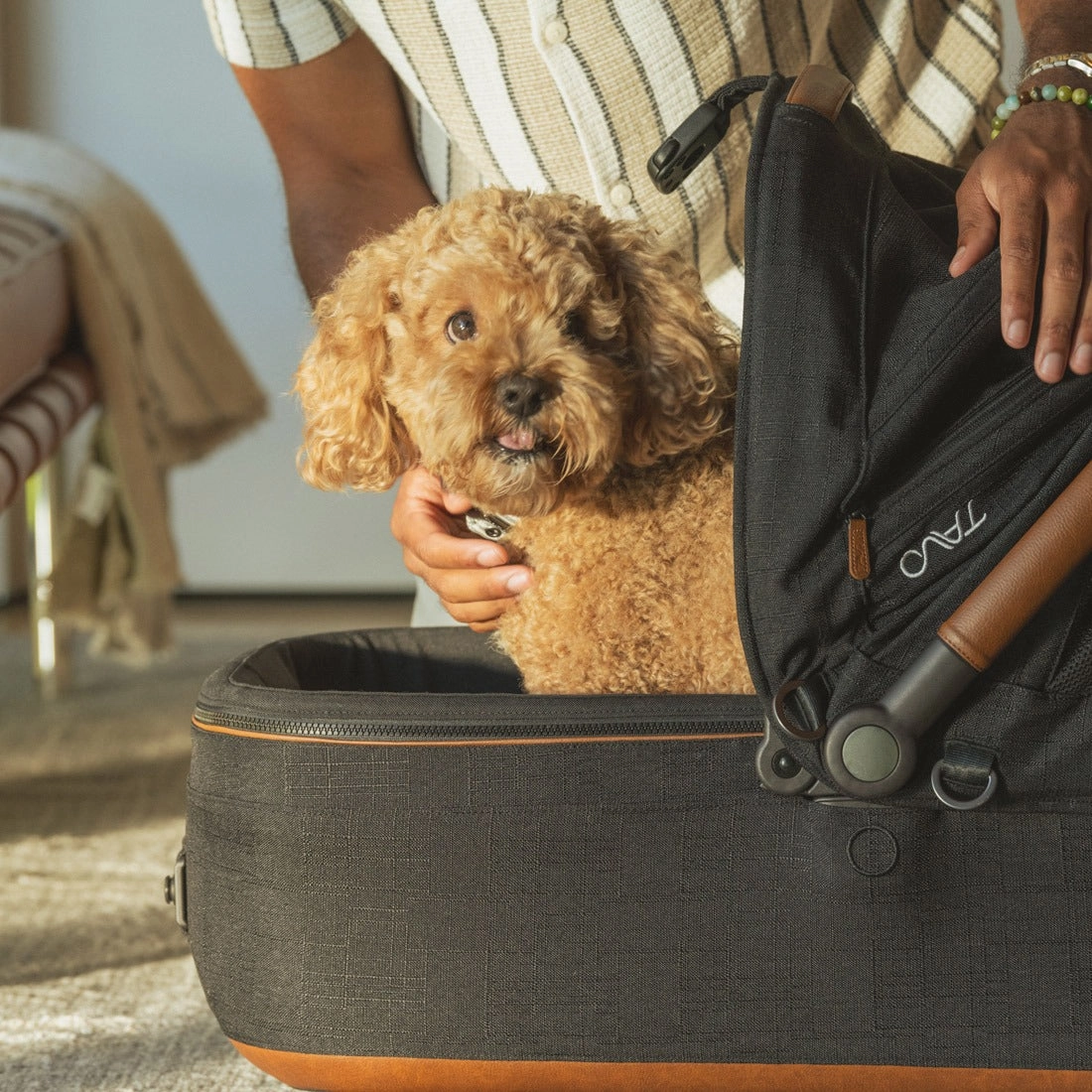 TAVO Pets Maeve Pet Car Seat - Medium Rigid