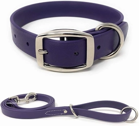 Waterproof Heavy Duty Purple Dog Collar and Leash - Custom Fit Vinyl-Coated Webbing Water Resistant, Anti and Easy to Clean Dog Collar with Double Buckle and D Ring for Medium Dogs