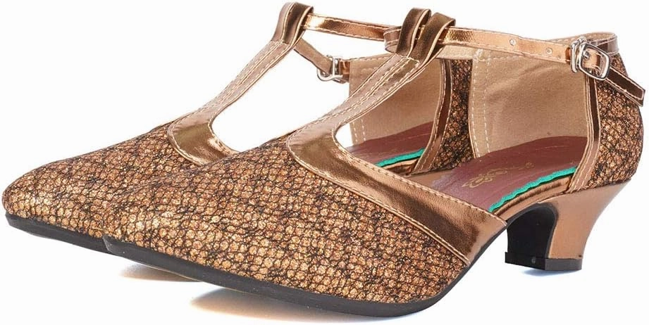 Women's Glitter Dance Shoes Flapper Gatsby 1920s Shoes Latin Tango Salsa Ballroom Heels