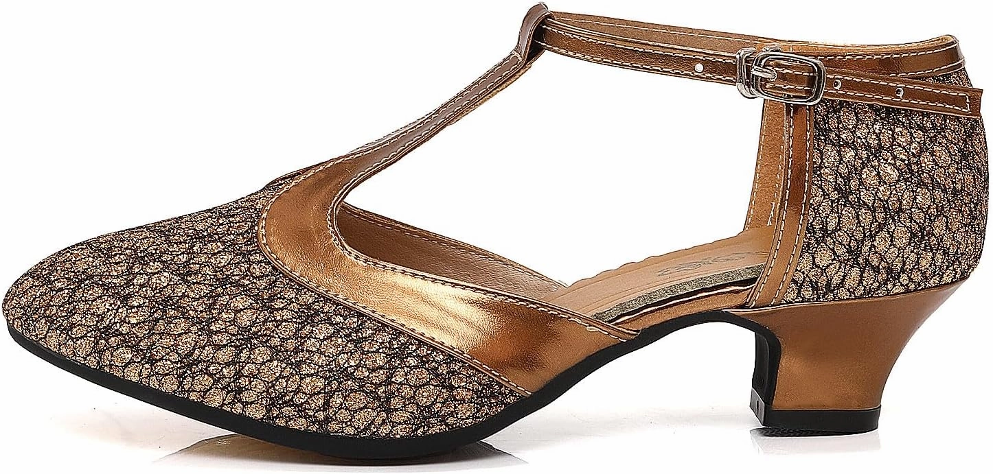 Women's Glitter Dance Shoes Flapper Gatsby 1920s Shoes Latin Tango Salsa Ballroom Heels