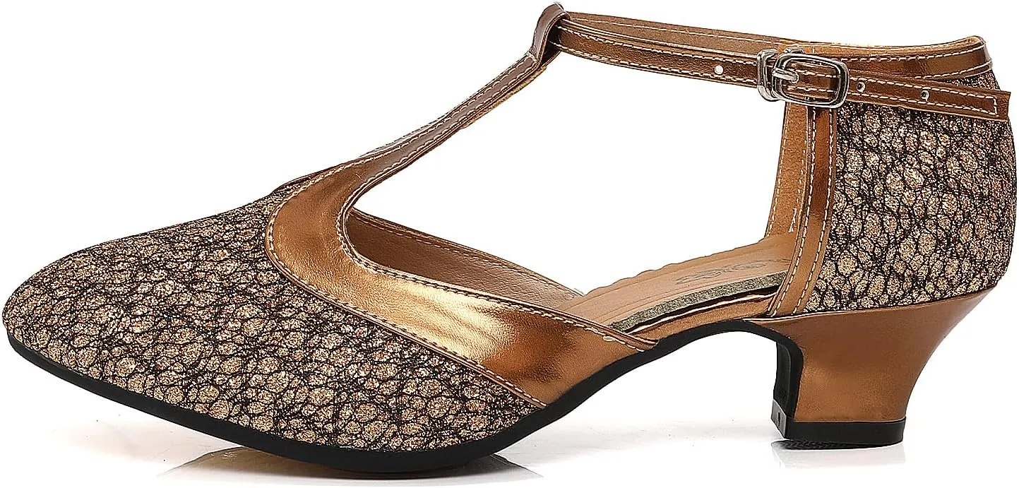 Women's Glitter Dance Shoes Flapper Gatsby 1920s Shoes Latin Tango Salsa Ballroom Heels